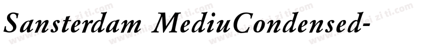 Sansterdam MediuCondensed字体转换